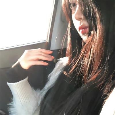 卧底费瑞的故事