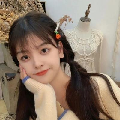 联邦调查局第八季